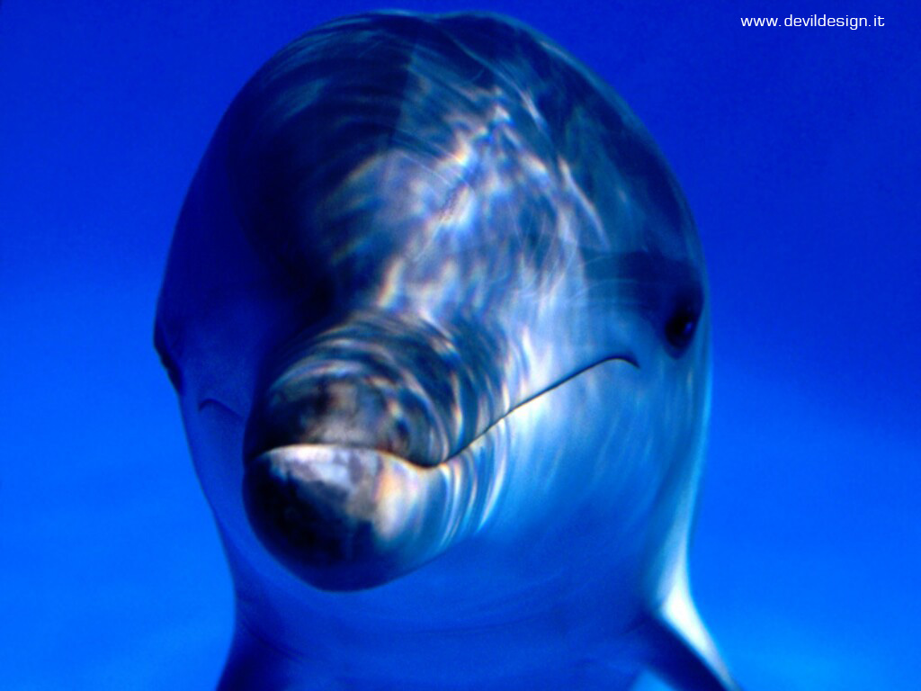 Underwater Portrait_2 copia